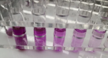 Dilution