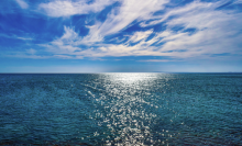 Vastitude